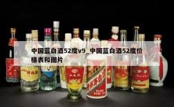 中国蓝白酒52度v9_中国蓝白酒52度价格表和图片
